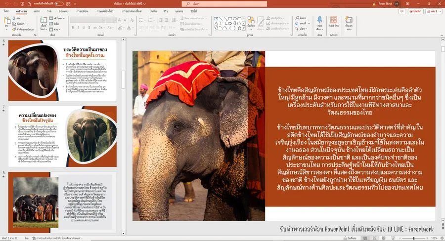 ตัวอย่างผลงาน PowerPoint สื่อการสอน วัฒนธรรมช้างไทยและสัตว์ป่า — รับทำ PowerPoint มืออาชีพ ThesisSlide.com